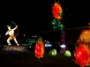 Lantern Festival at Chinese Garden 2011