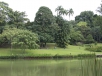 Singapore Botanic Gardens, National Orchid Garden (Jan. \'12)