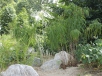 Yishun Pond