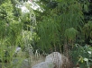 Yishun Pond